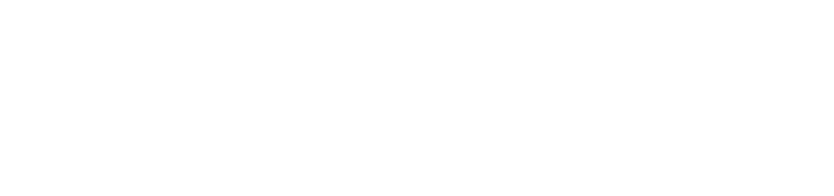 flipZen